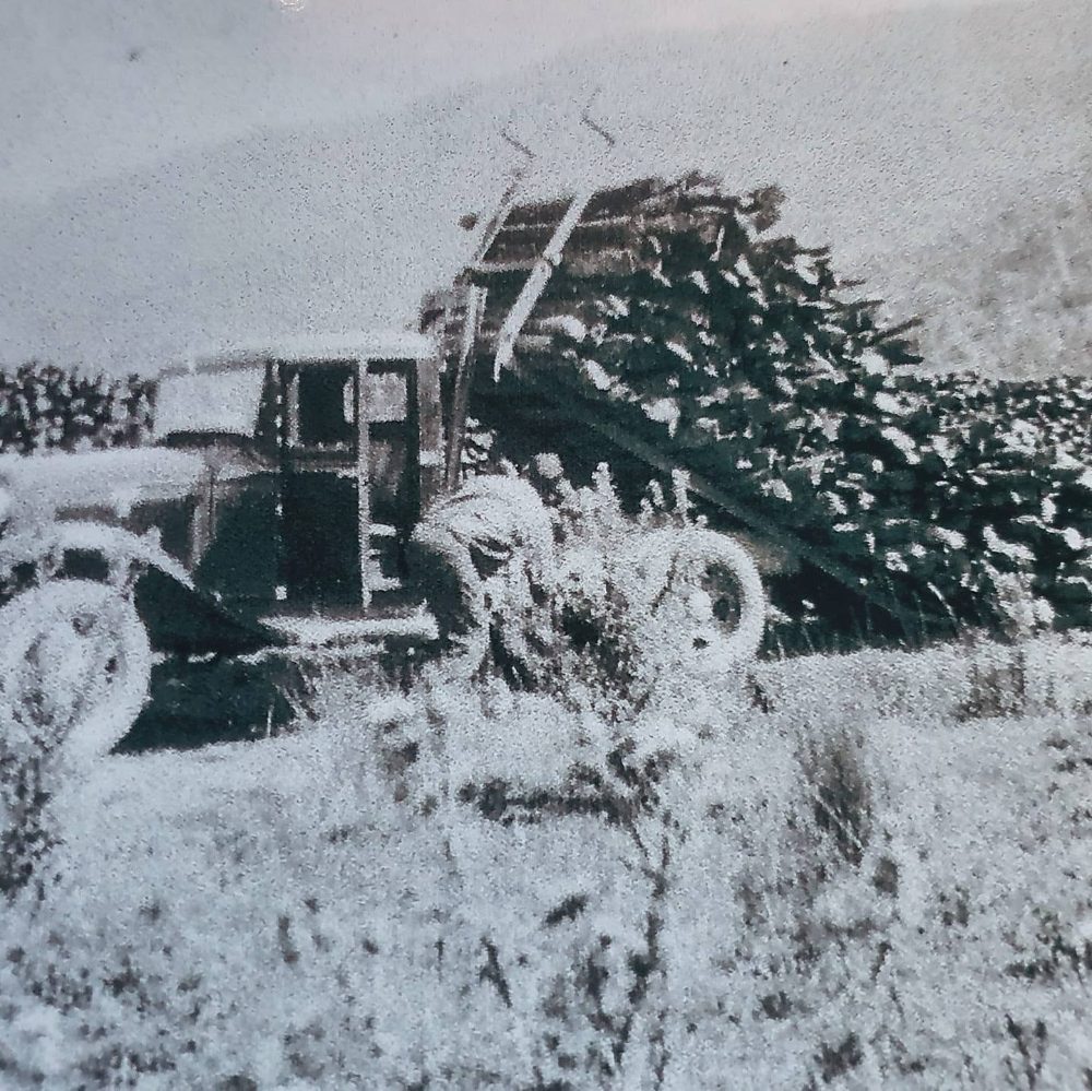 Archive photo of an early truck loaded with firewood